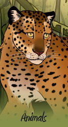 Animal Games